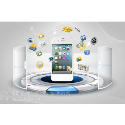 汕頭網(wǎng)站建設(shè)與設(shè)計(jì)專家 打造誠信通旺鋪，賦能企業(yè)數(shù)字化發(fā)展